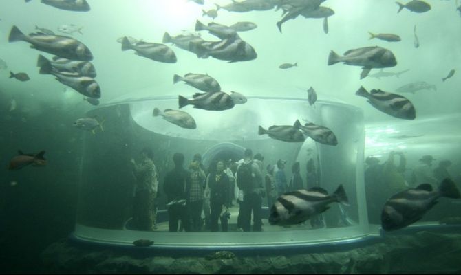 Yeosu, Corea del Sud