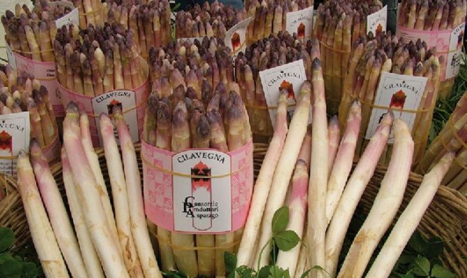 asparagi bianchi di cilavegna