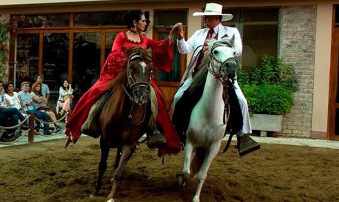 Spettacolo di cavalli peruviani