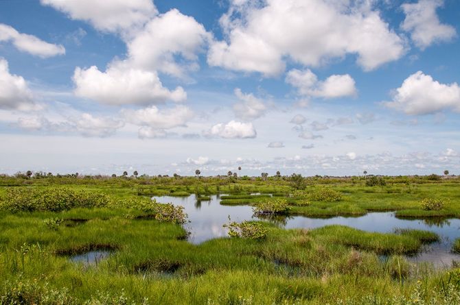 Canaveral National Seashore