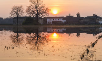 Campagna lombarda