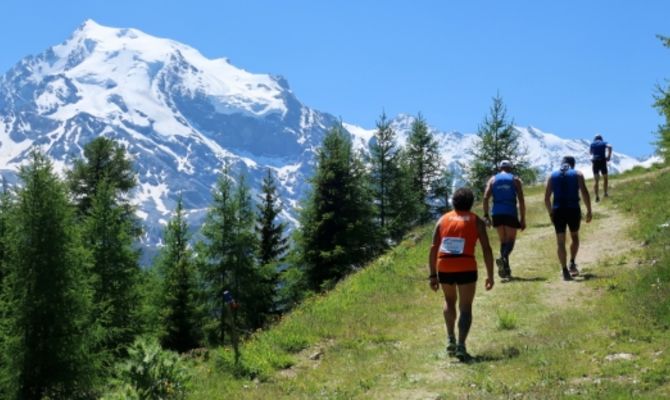 Stelvio Marathon 