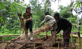 Ubud, il tesoro di Bali in versione eco-sostenibile