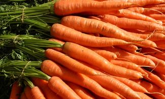 Abruzzo, il gusto della carota del Fucino 