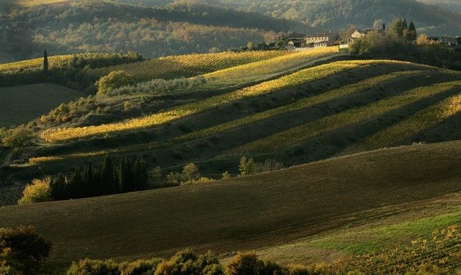 paesaggio Chianti, Toscana<br>