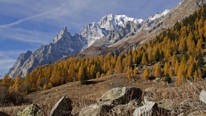 foliage in val ferret