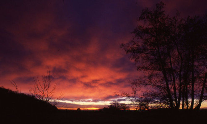 parco la mandria tramonto natura sera imbrunire nuvole cielo