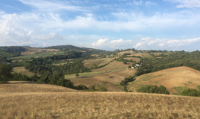 colline Manciano, Grosseto