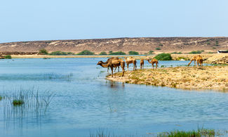 Oman, cosa sapere sulla regione del Dhofar