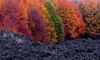 Etna glam. Vecchie e nuove tendenze all&#39;ombra del vulcano