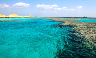 Barriera corallina