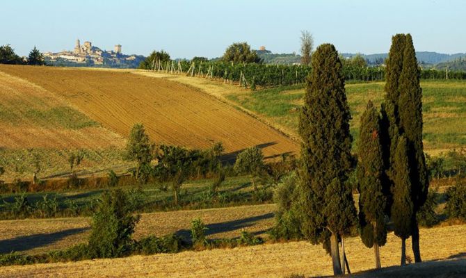 Campagna toscana Arezzo