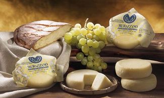 Formaggio Murazzano Dop foto