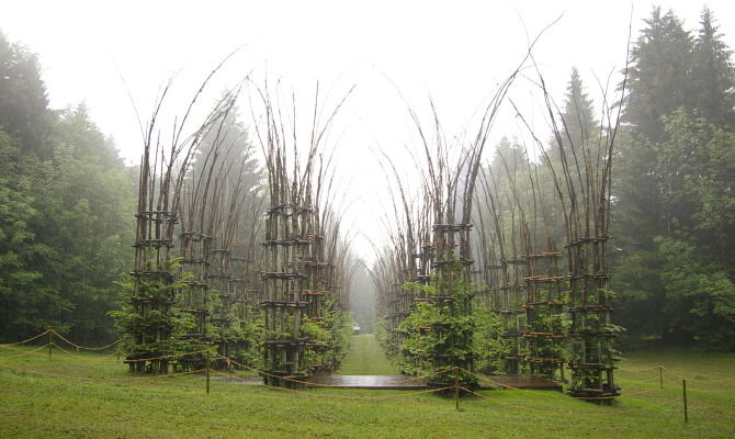 arte sella, natura, trentino, valsugana, arte sella, cattedrale vegetale, alberi