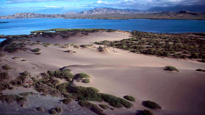 Dune di Barahona
