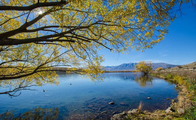 Avventura: Canterbury Region, Nuova Zelanda