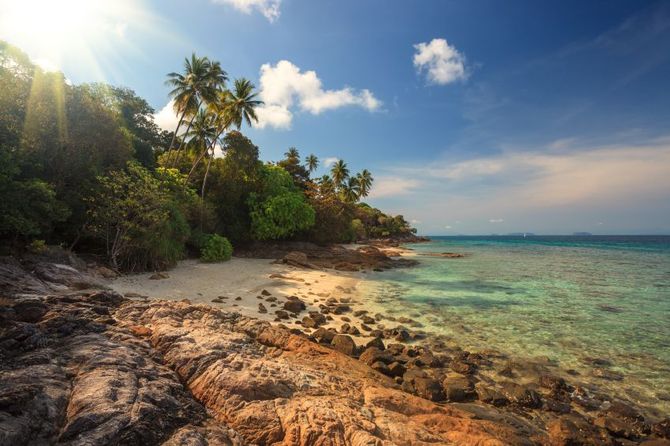 21 Turtle Sanctuary Beach