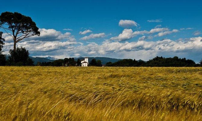 campagna, cascina, erba, Ippovia Valle del Cormor
