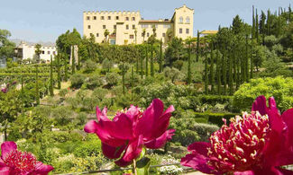 Esperienze gourmand ai Giardini di Sissi