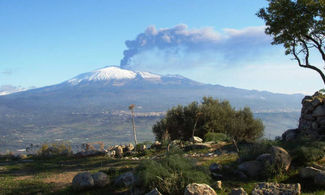 Sicilia, l'olio del vulcano
