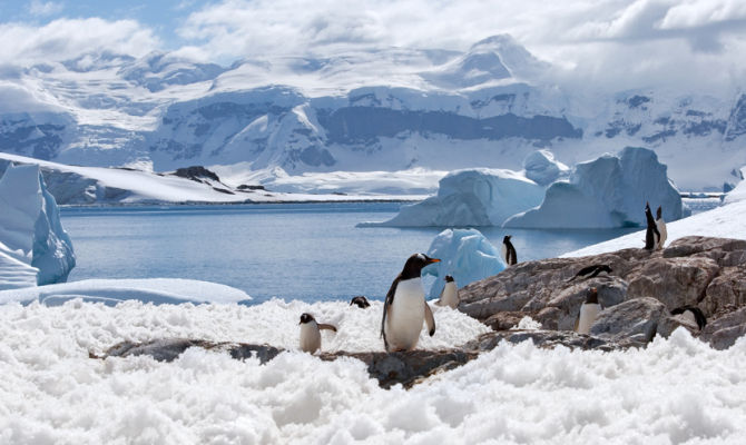 Regione antartica