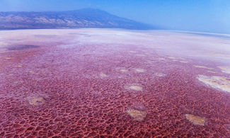 Video: Natron, il lago infernale che pietrifica le sue vittime