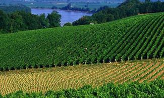 Top Wine Destinations &#45; Dove il mondo &#232; diVino