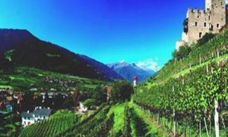Sport e natura tra le Alpi
