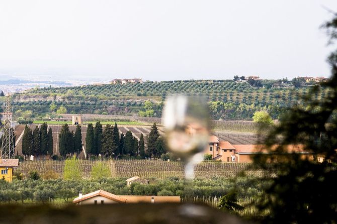 Visita una cantina del XVI secolo