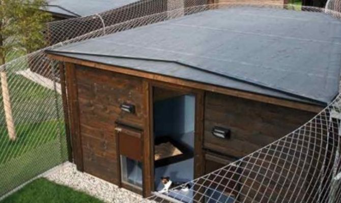 Canis Resort Germania