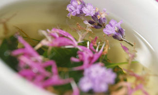 Erbe aromatiche