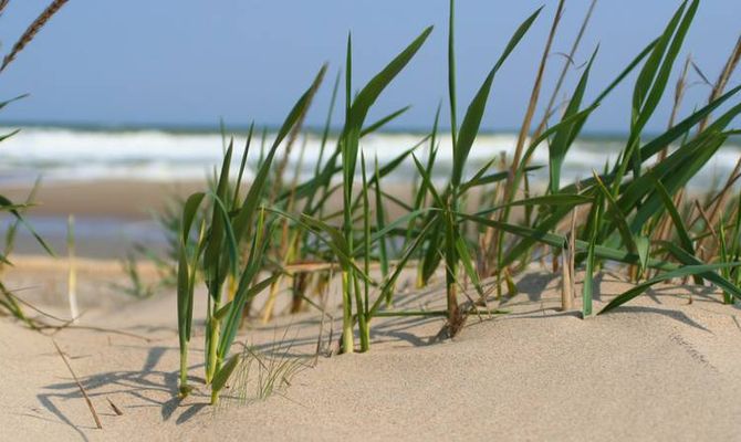 Spiaggia