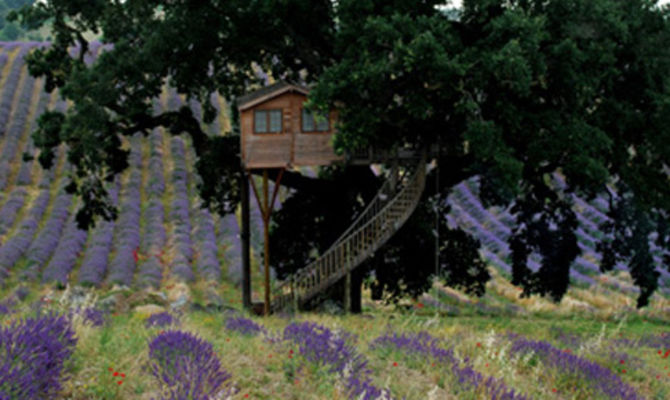 Casa sull'albero