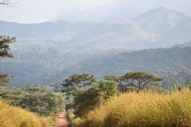 Riserva naturale integrale del Monte Nimba