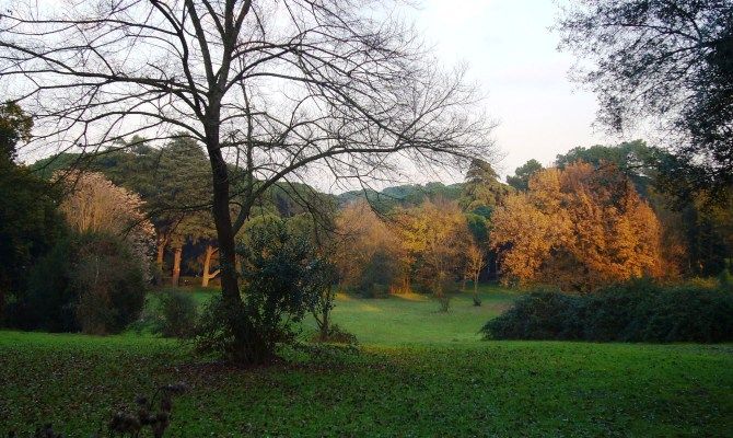 Villa Ada, Roma, parco