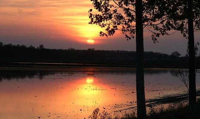 parco del ticino fiume tramonto imbrunire<br>