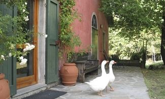 Agriturismo Il Gumo, sapore di uva fragola in Liguria