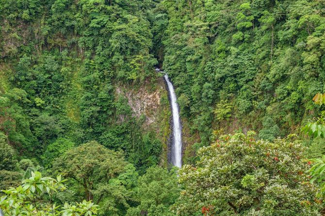 1. La Fortuna de San Carlos