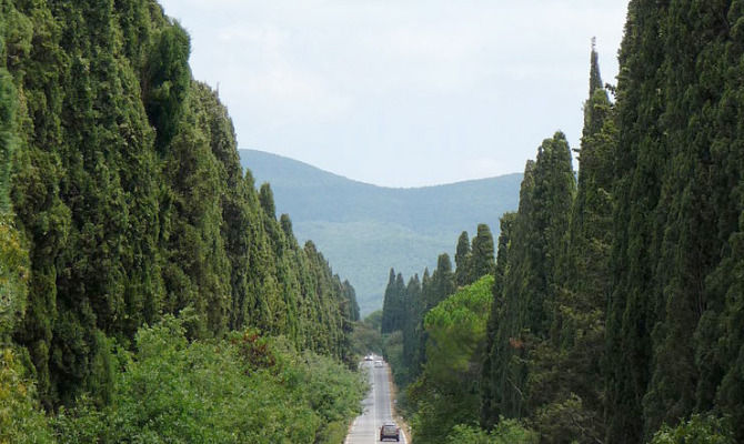 Viale dei Cipressi, Bolgheri
