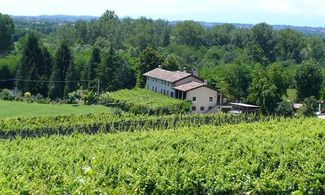 La Faula, cucina rurale in Friuli Venezia Giulia