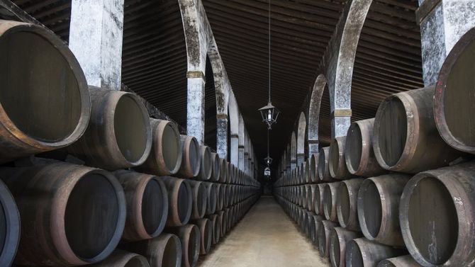 Jerez de La Frontera flamenco e sherry
