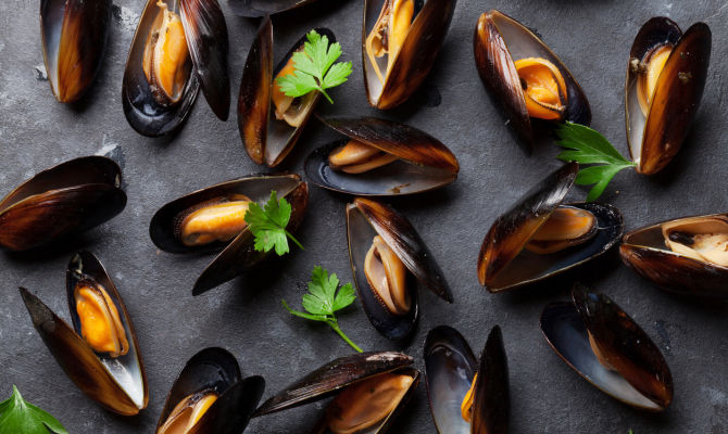 cozze molluschi mitili frutti di mare