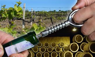 Botti e vino