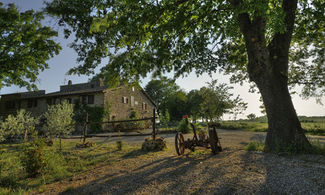 agriturismo biologico Toscana, Pitignano