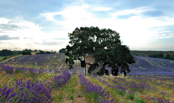 La Piantata, Suite Bleue