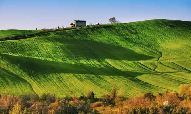 Terre di Siena