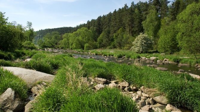 Fiume Sazava