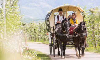 Terlano. Il romanticismo viaggia in carrozza