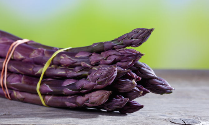asparagi viola verdura fascio mazzetto