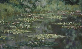 Le Bassin des Nympheas